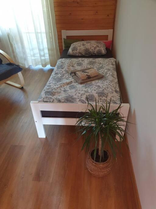 Room Sodja Bohinj Εξωτερικό φωτογραφία